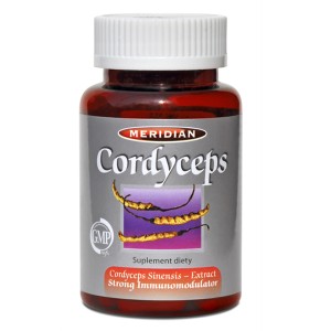 Cordyceps – ekstrakt